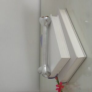 Silverplated Dog Bone Paperweight 8.5"